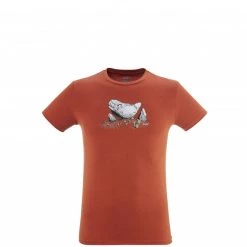 Tee-Shirt en coton marron pour homme BOULDER DREAM