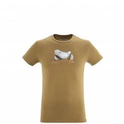 Tee-Shirt en coton kaki pour homme BOULDER DREAM TS SS M