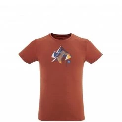 Tee-Shirt marron pour homme SUMMIT BOARD TS SS M