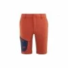 Short de randonnée marron pour homme WANAKA STRETCH SHORT II M
