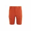 Short de randonnée marron pour homme TREKKER STR SHORT III M